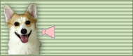 咖哩NEW