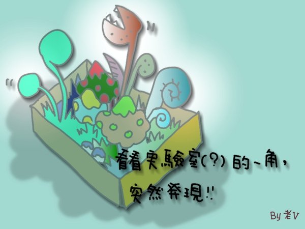 4這是啥.jpg