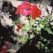 D1000007.JPG