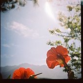 D1000012.JPG