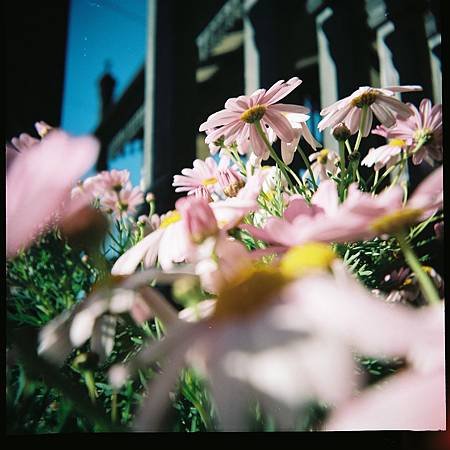D1000001.JPG