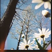 D1000003.JPG