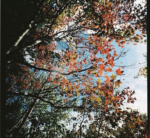 D1040001.JPG