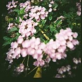 D1010006.JPG