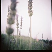 D1030004.JPG