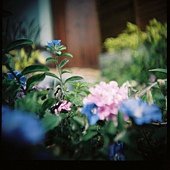 D1000003.JPG