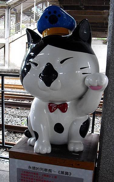 26cat-5892.jpg