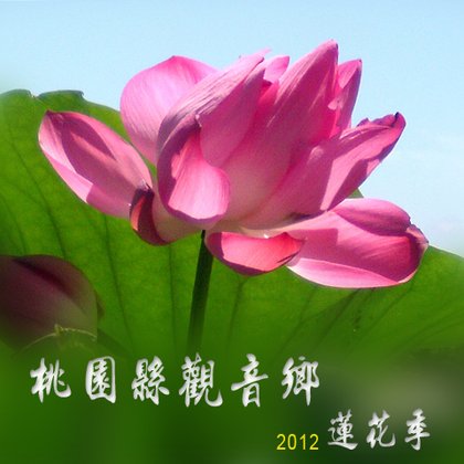 01-4981