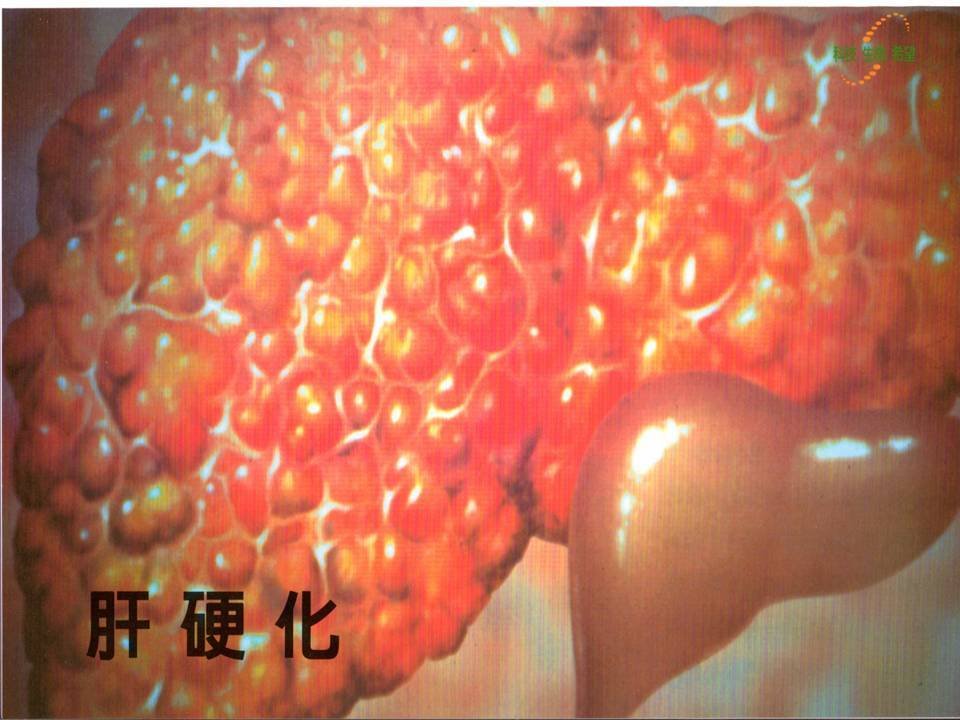 圖片1