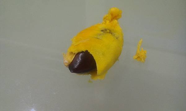IMAG0747.jpg