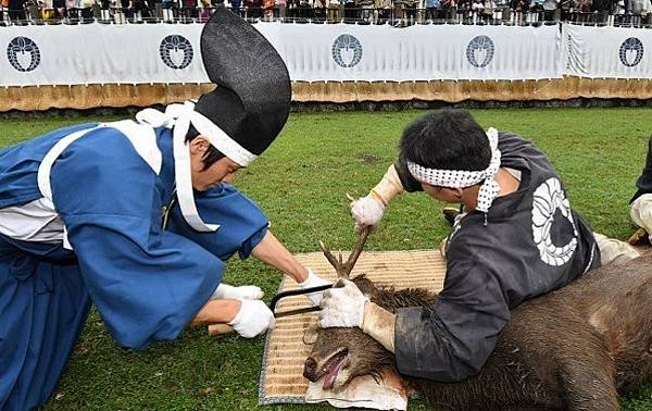 奈良的「鹿の角きり」活動。.jpg