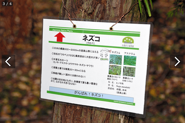 津田桂子製作的名牌。.png