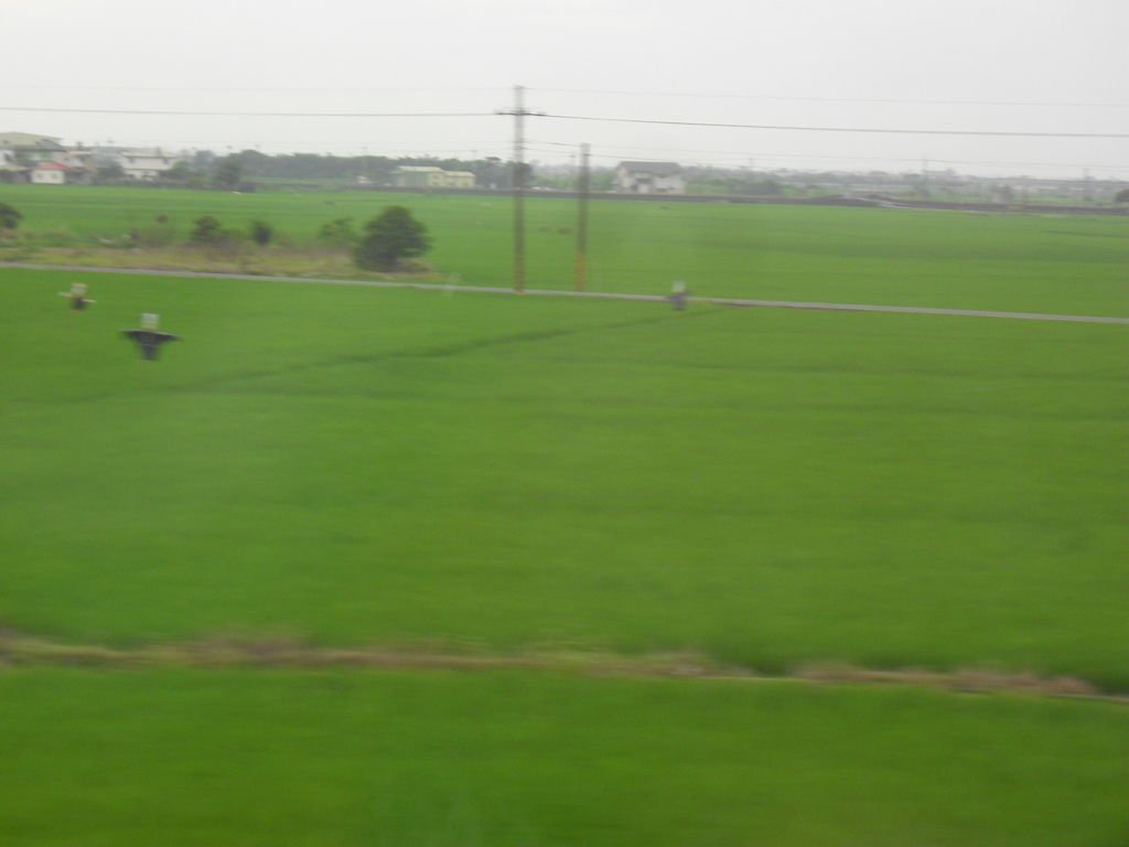 CIMG4488.JPG