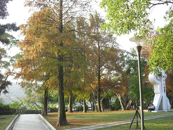 CIMG2210.JPG