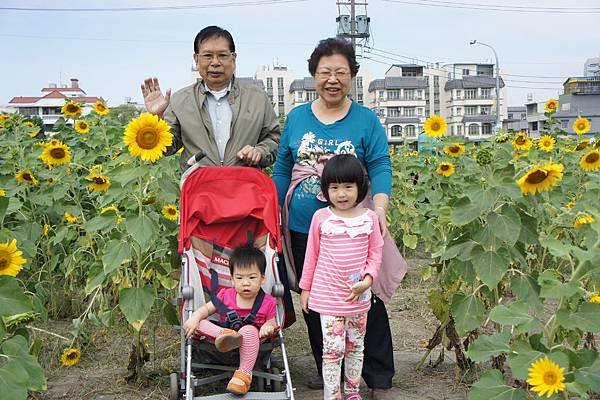 橋頭花田喜事