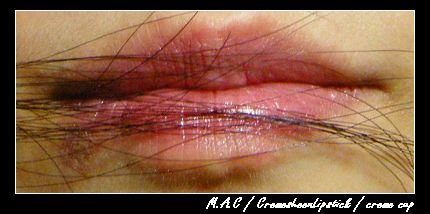 DSCN6198.JPG