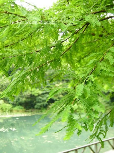 DSCN0821.JPG
