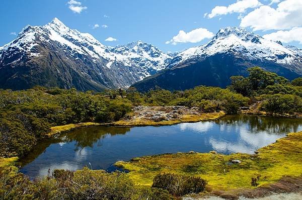 New Zealand: Hành Trình Đến Vớ