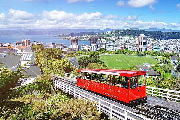 Wellington: Thủ đô Đầy Sắc Màu