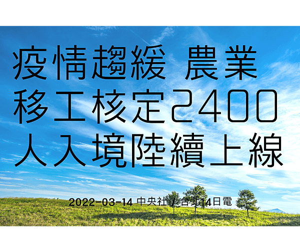 疫情趨緩 農業移工核定2400人入境陸續上線.png