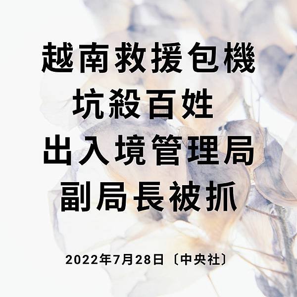 越南救援包機坑殺百姓 出入境管理局副局長被抓 2022年7月28日〔中央社〕.jpg