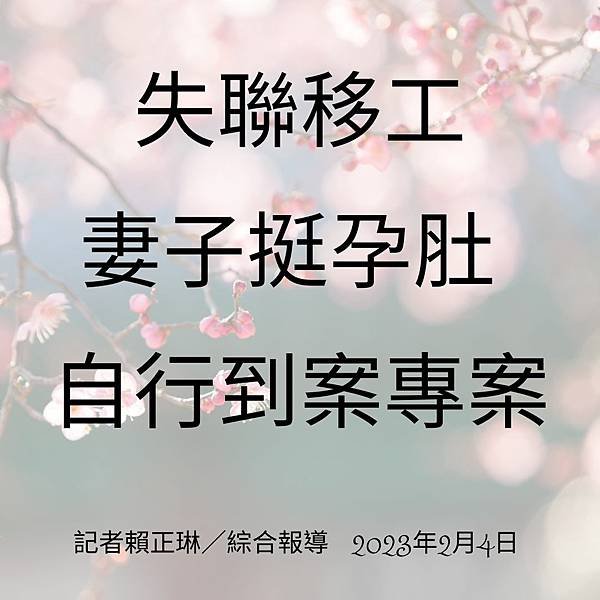 失聯移工 妻子挺孕肚 自行到案專案 記者賴正琳／綜合報導 2023年2月4日.jpg