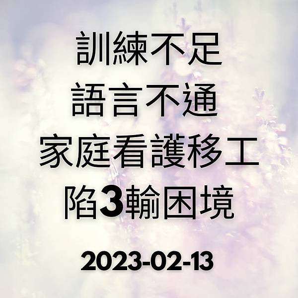 訓練不足 語言不通 家庭看護移工 陷3輸困境 2023-02-13.jpg