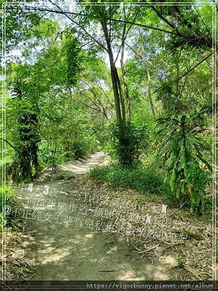 【台中鐵腿景點】咬人狗坑生態景觀步道三汀山望高寮小百岳X挑戰