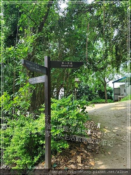 【台中鐵腿景點】咬人狗坑生態景觀步道三汀山望高寮小百岳X挑戰