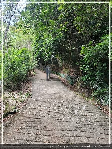 【台中鐵腿景點】咬人狗坑生態景觀步道三汀山望高寮小百岳X挑戰