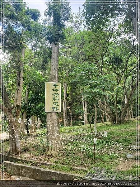 【台中鐵腿景點】咬人狗坑生態景觀步道三汀山望高寮小百岳X挑戰