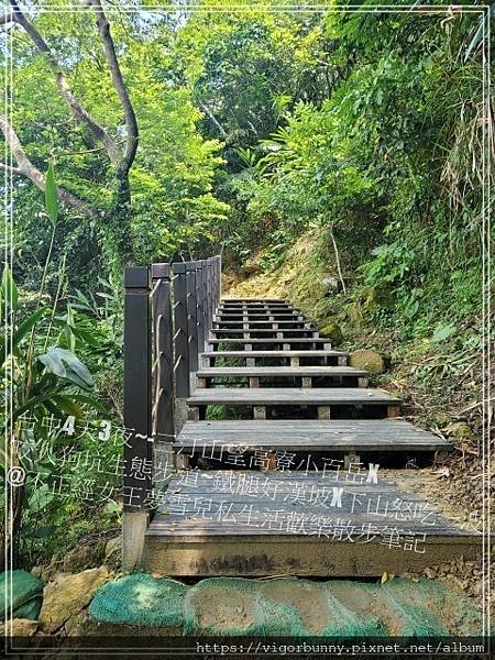 【台中鐵腿景點】咬人狗坑生態景觀步道三汀山望高寮小百岳X挑戰