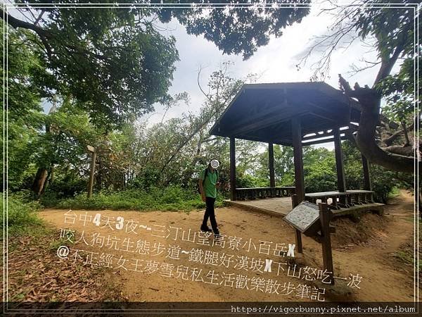 【台中鐵腿景點】咬人狗坑生態景觀步道三汀山望高寮小百岳X挑戰