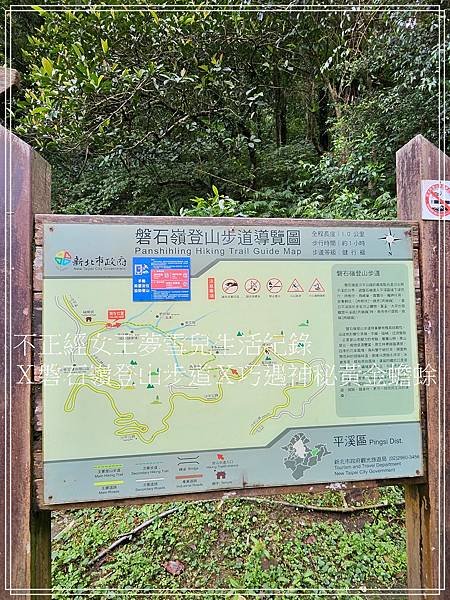 【石碇步道景點X拉繩趣】磐石嶺登山步道X巧遇可愛黃金蟾蜍X初