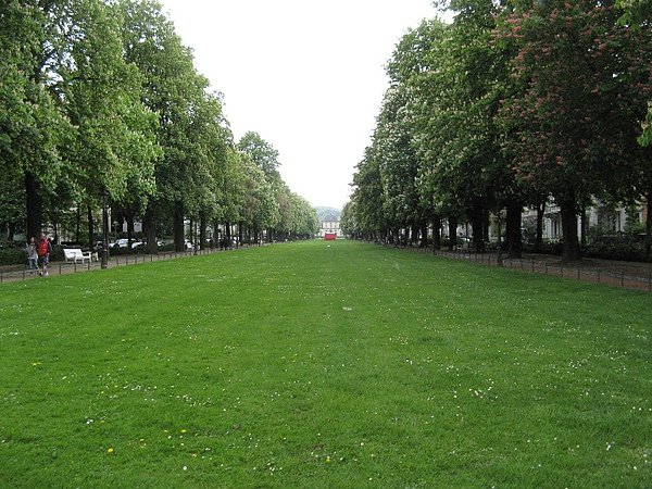 Poppelsdorfer Allee.JPG