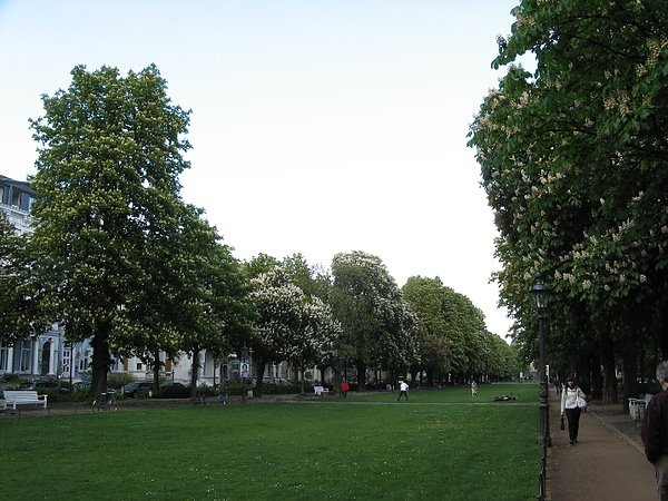 Poppelsdorfer Allee 2.JPG