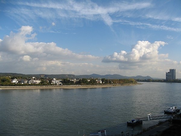 Rhine 1.JPG