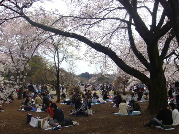 DSC01405.JPG