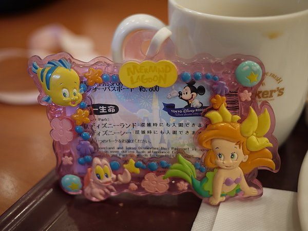 20100409 TDS 007.jpg