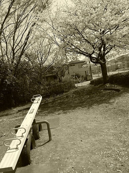 P1000127.JPG
