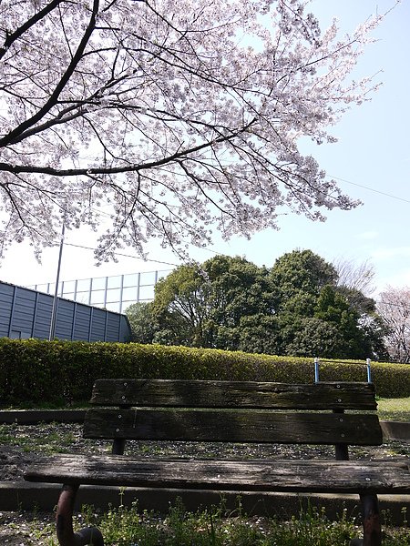 P1000121.JPG