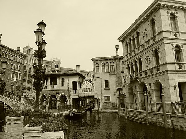 20100409 TDS 027.jpg