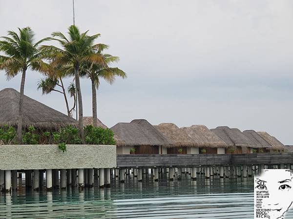 MALDIVES_2 242