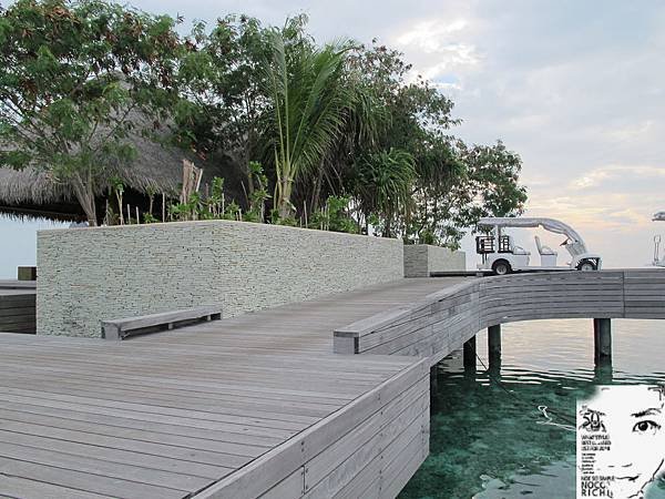 MALDIVES_2 244