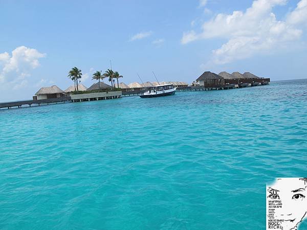 MALDIVES_2 281