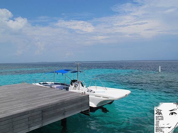 MALDIVES_2 295