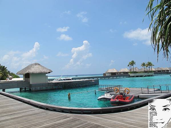 MALDIVES_2 298