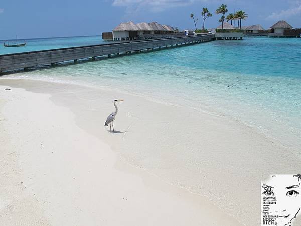 MALDIVES_2 309