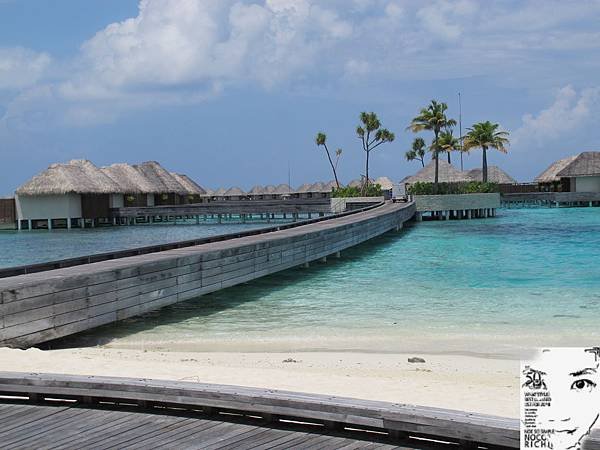 MALDIVES_2 315