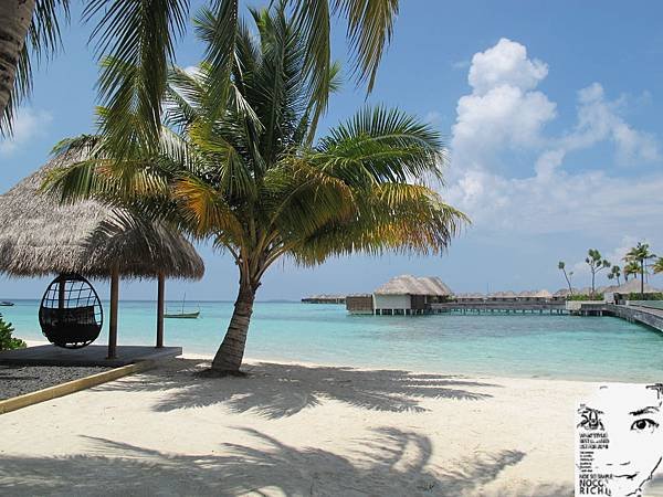 MALDIVES_2 321